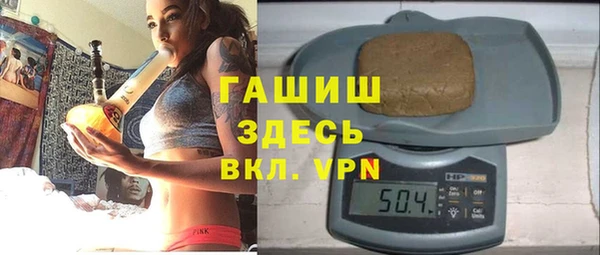 шишки Ельня