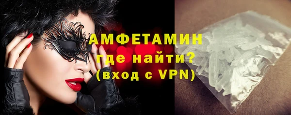 шишки Ельня