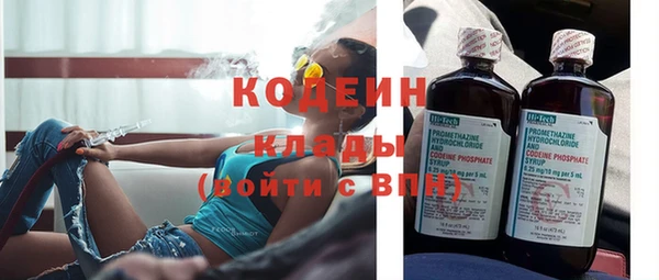 шишки Ельня