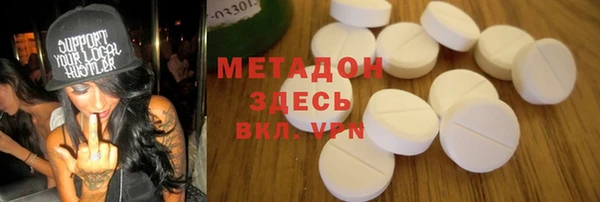шишки Ельня