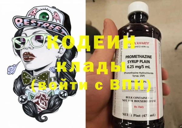 шишки Ельня