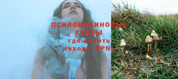 шишки Ельня