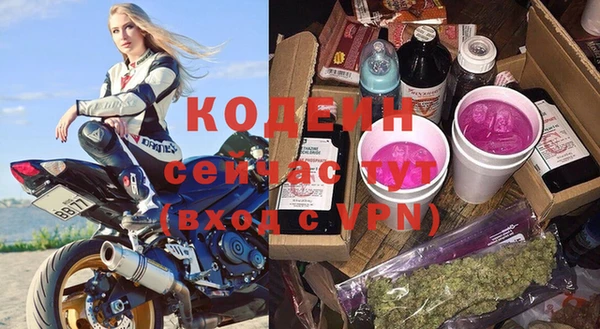 шишки Ельня