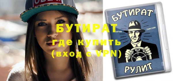 шишки Ельня