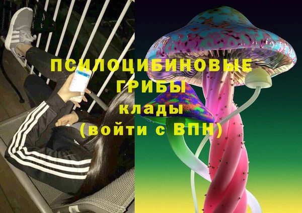 бошки Елабуга