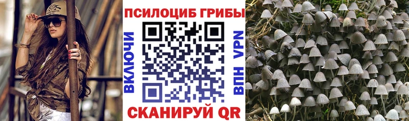 Галлюциногенные грибы Psilocybine cubensis Радужный