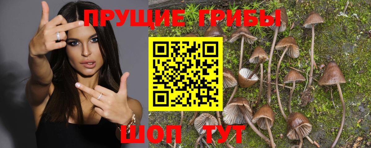 Галлюциногенные грибы мухоморы  Вход с VPN  Радужный 