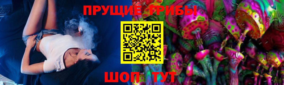 Псилоцибиновые грибы GOLDEN TEACHER Радужный